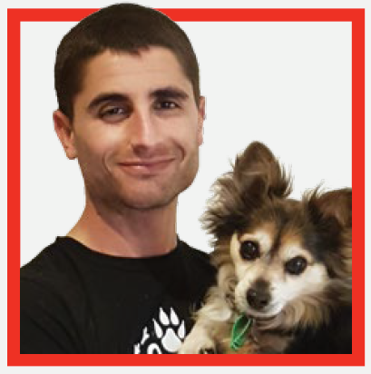 David Bramante, Animal Justice Party candidate.