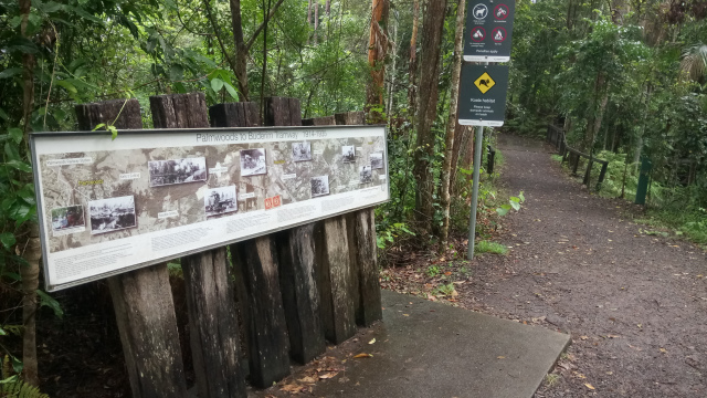 The+remnants+of+the+Buderim+tramway+are+now+a+walking+track.+