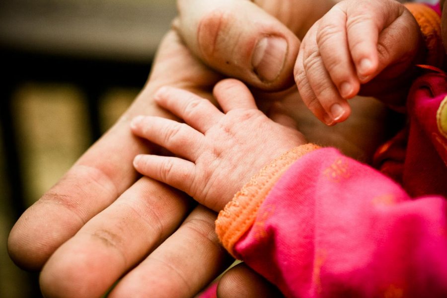 Twenty-one years after being adopted as a baby, Jordan Miletic calls his foster carer “Mum” 