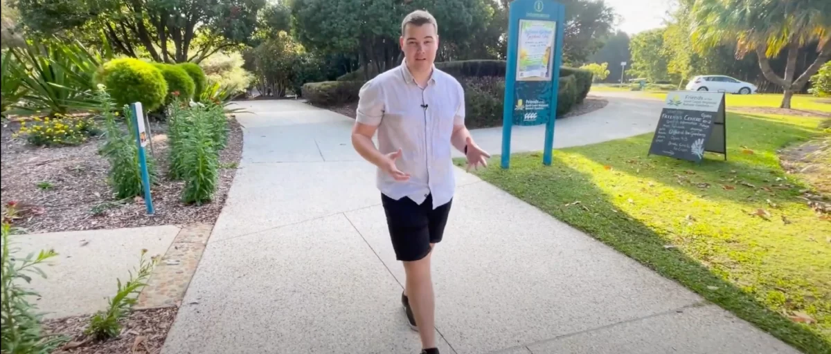 Native Australian Bees