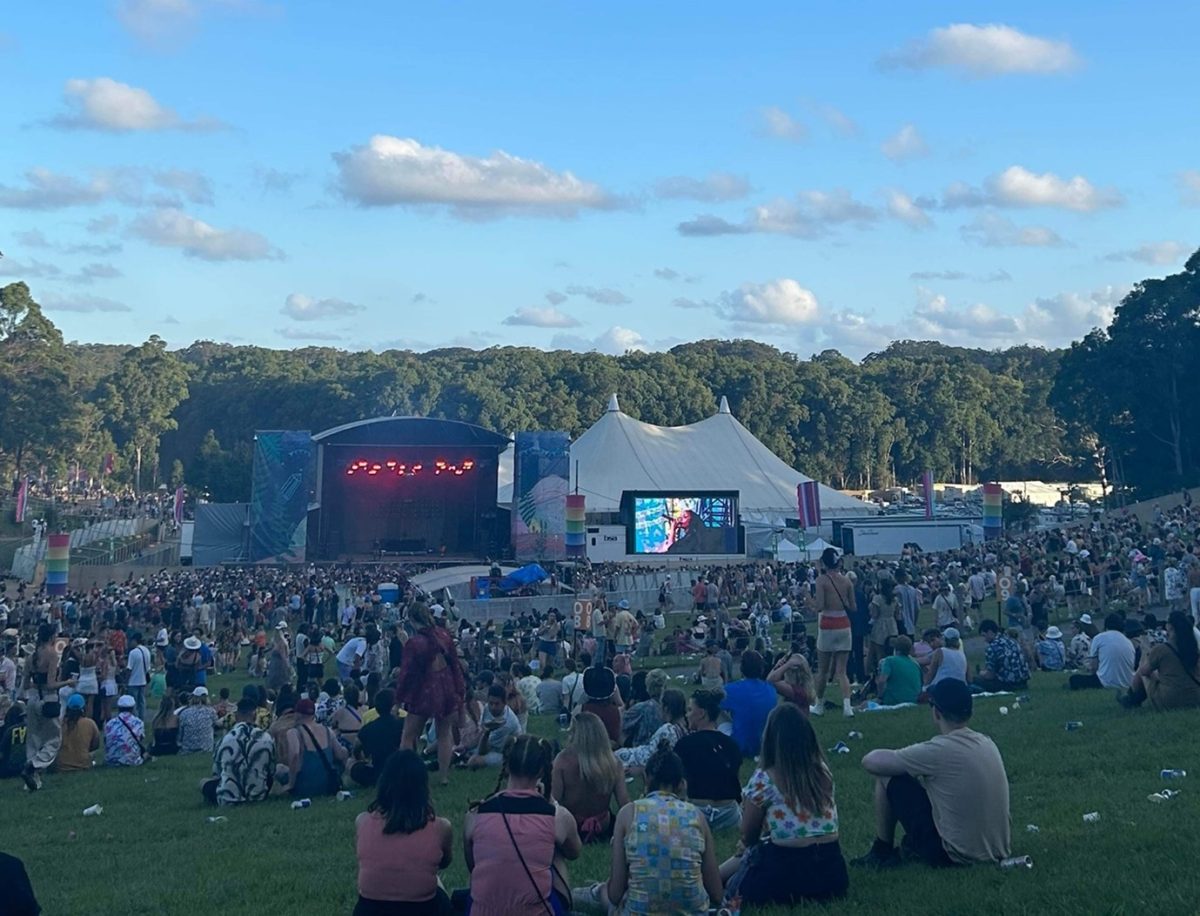 A crowd of people flying kites in a field