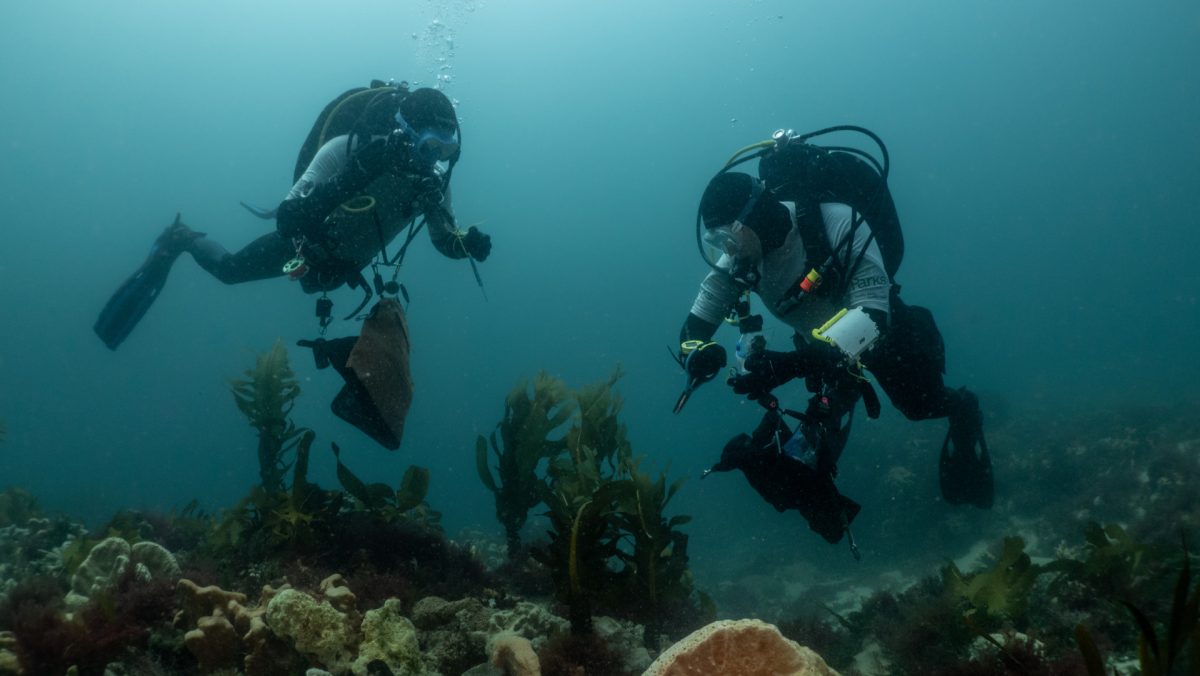 A group of people swimming in the water