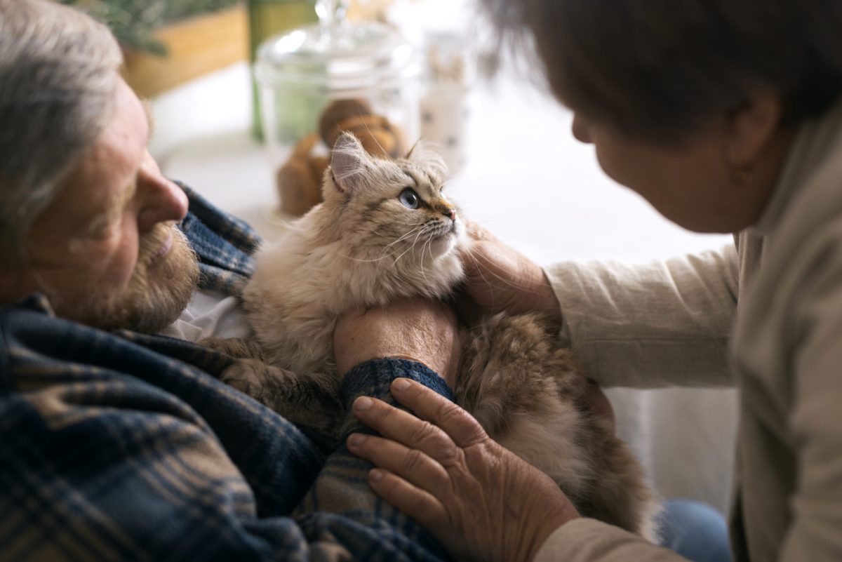 A person holding a cat