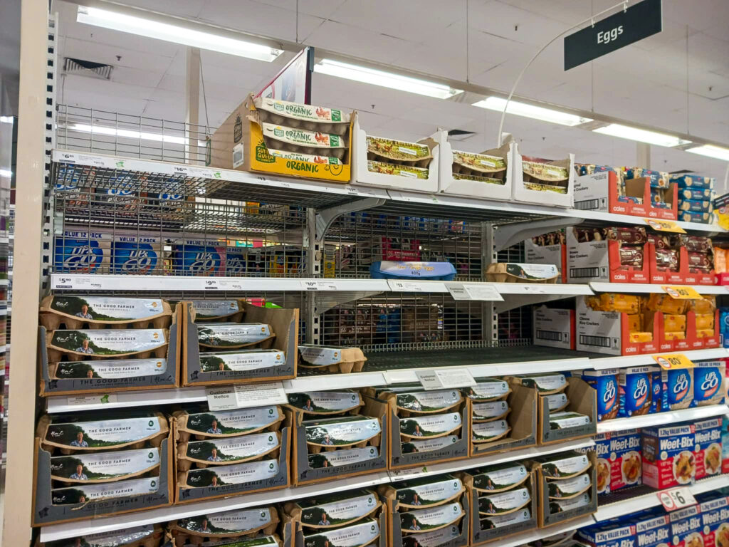 A store shelf filled with books