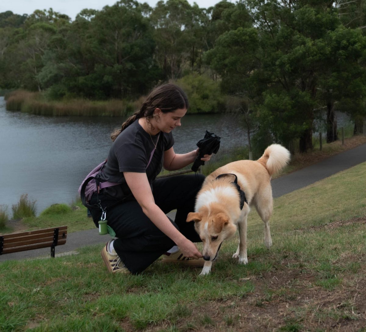 A person with a dog in a park