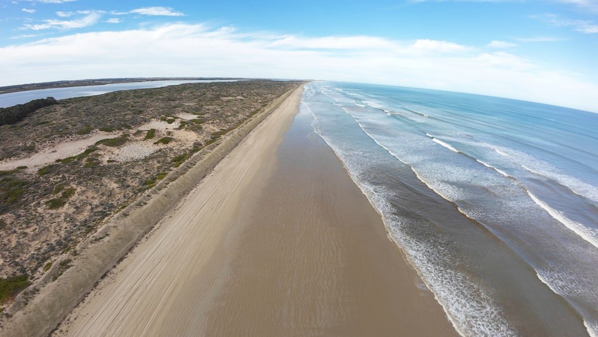A view of a beach next to the ocean