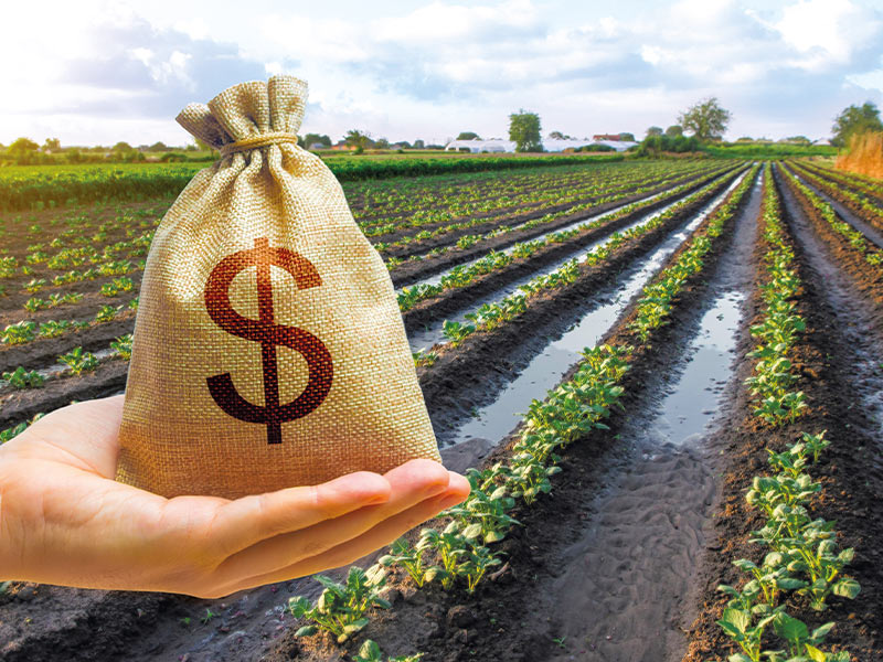 A hand holding a bag of money with farmland in the background
